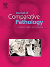 JOURNAL OF COMPARATIVE PATHOLOGY雜志封面